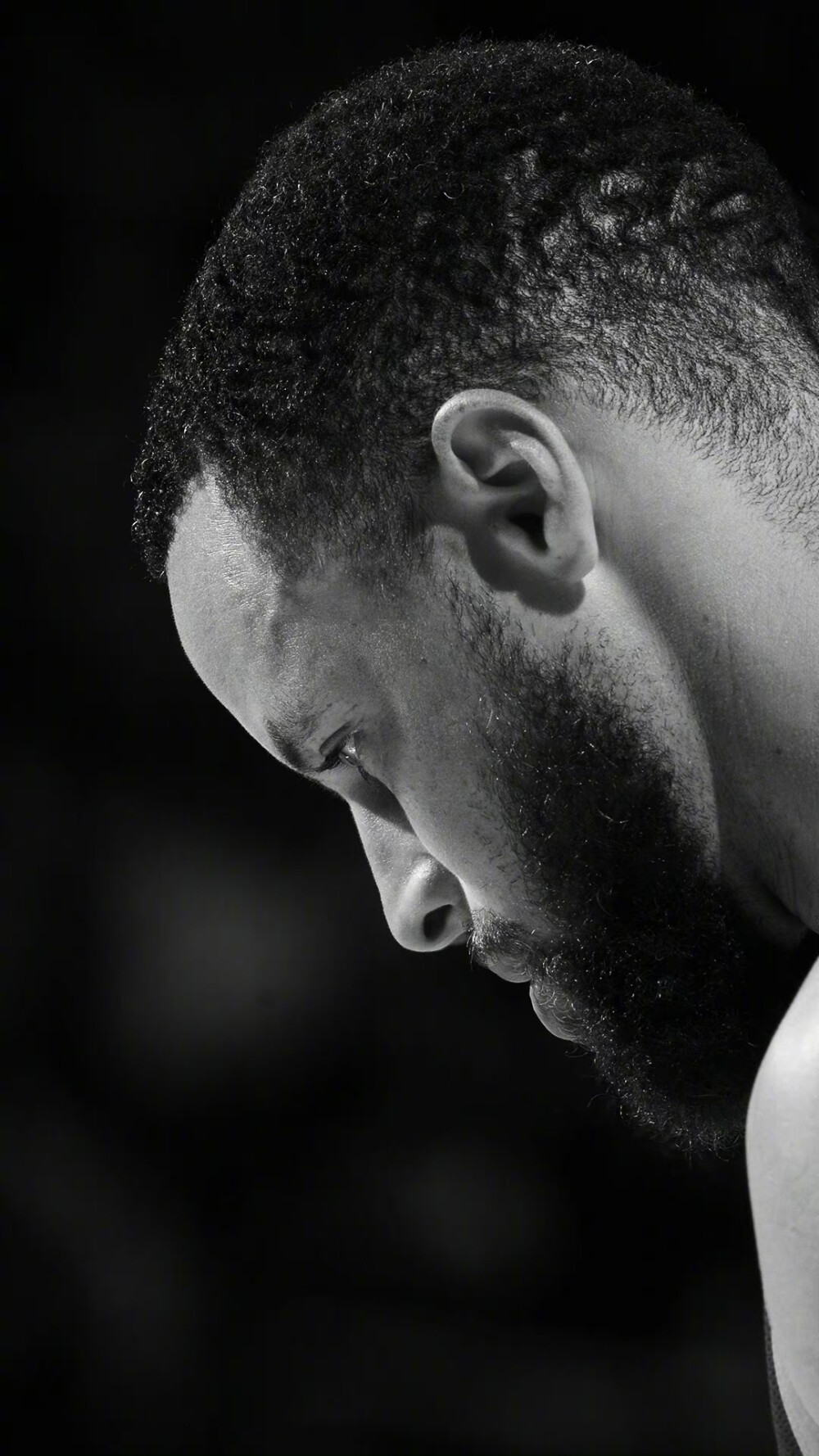 仔细分析了 仔细分析了